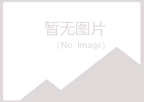 红岗区山柏能源有限公司